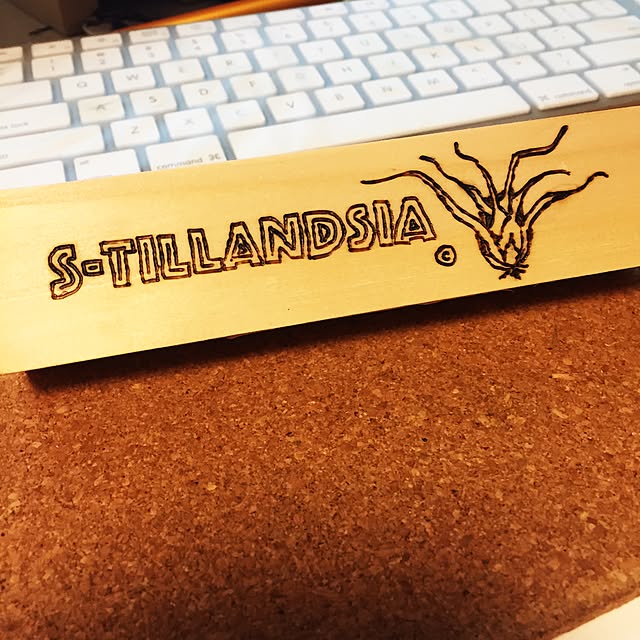 S-Tillandsiaさんの実例写真