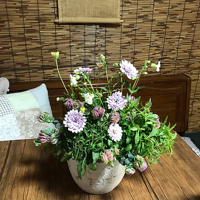 Miyokoさんの実例写真