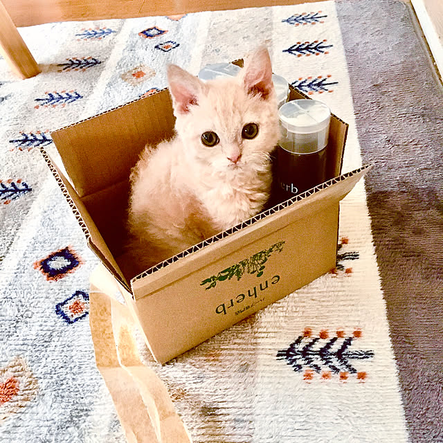 naokoさんの実例写真