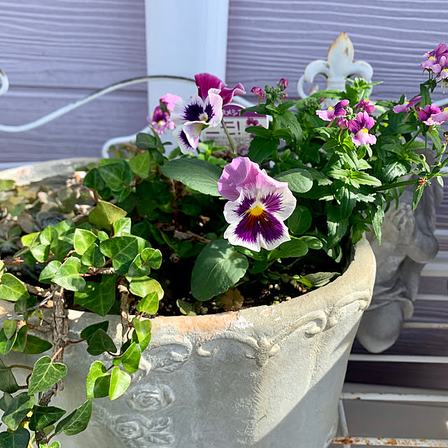 AYUKOさんの実例写真