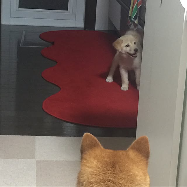 mtkさんの実例写真