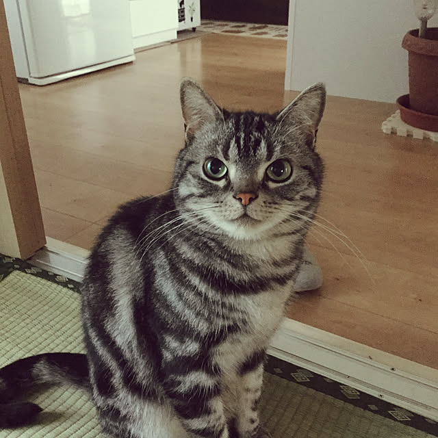richanさんの実例写真