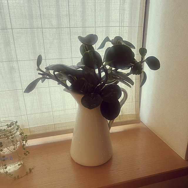magnoliaさんの部屋