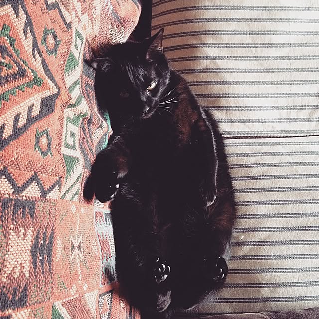 Naoki.さんの実例写真