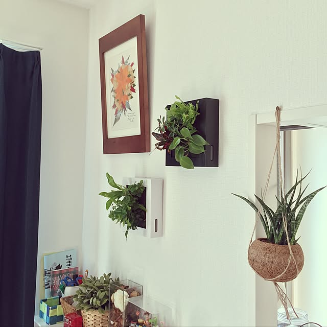 Ryujiさんの実例写真