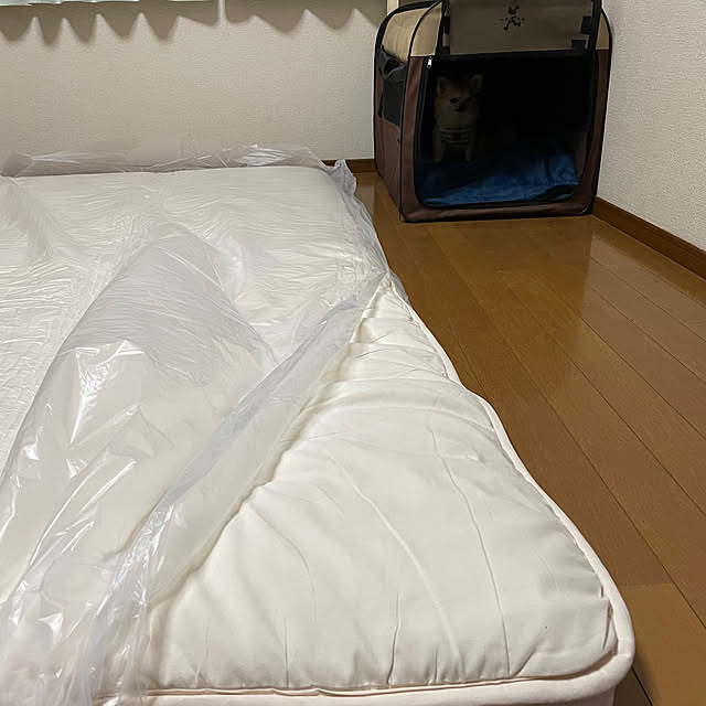 natsumiさんの部屋