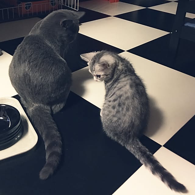 Shojiさんの実例写真
