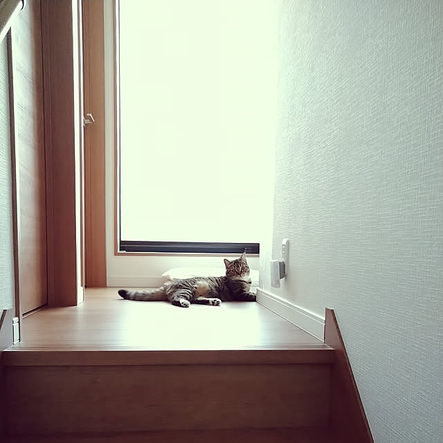 mochicoさんの実例写真