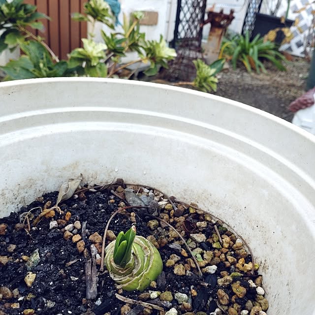 Bienvenueさんの部屋