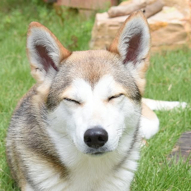 nikoさんの実例写真