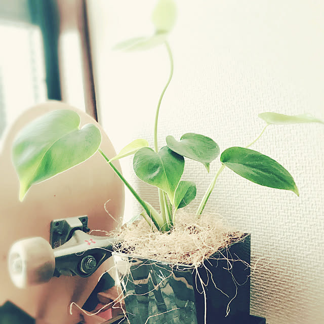 souさんの実例写真