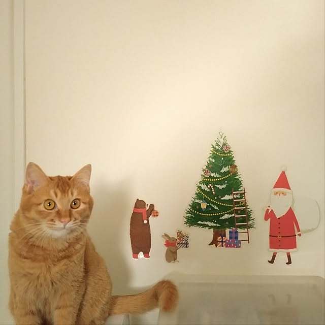 mayutan.さんの実例写真