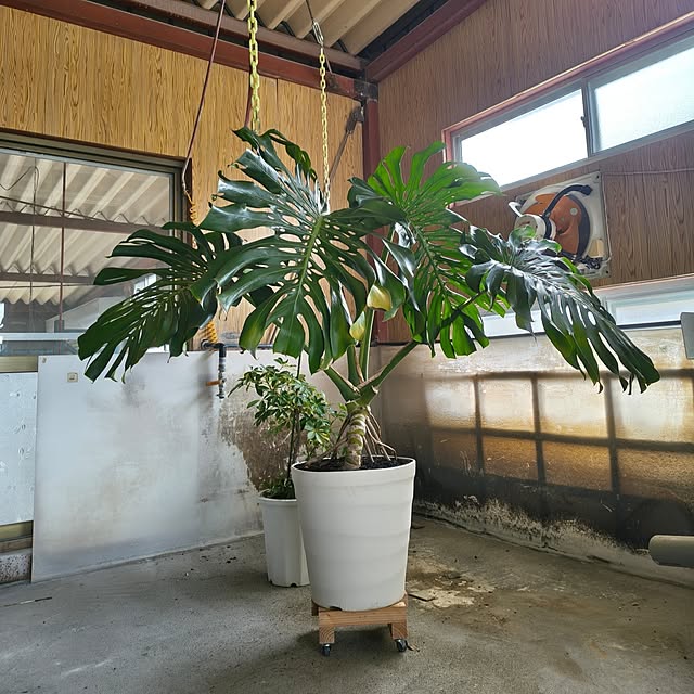 Rubiconさんの部屋