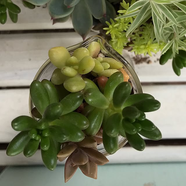 kokko3さんの実例写真