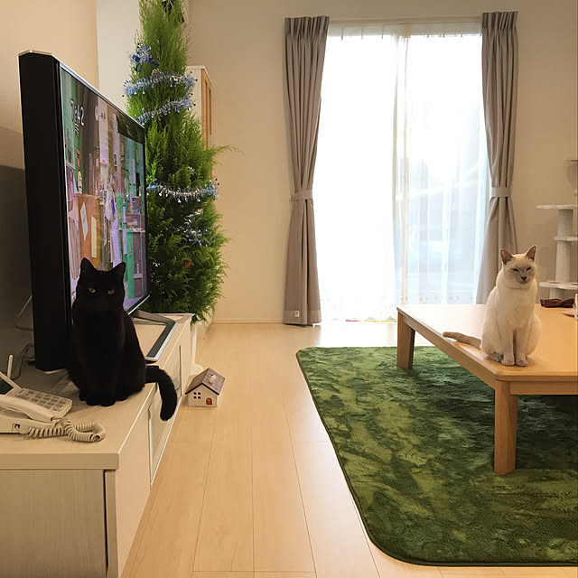 OmamekOさんの実例写真