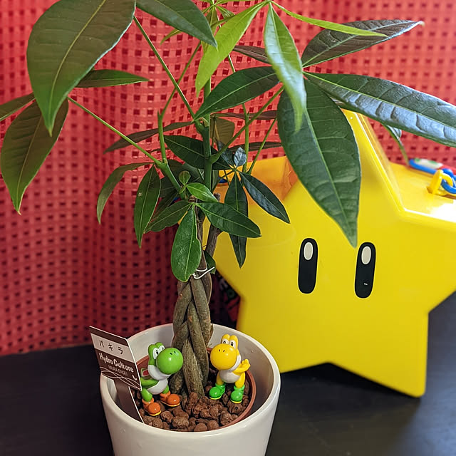 reiさんの実例写真
