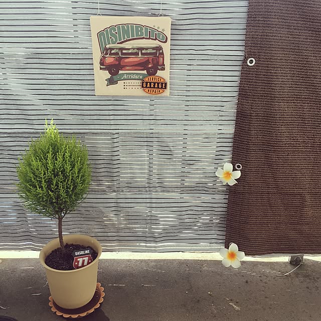 sa1815さんの実例写真