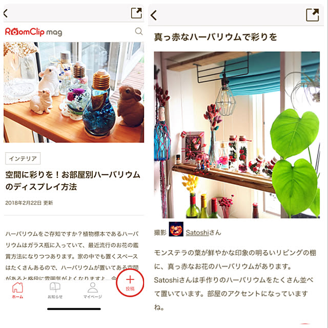 Satoshiさんの実例写真