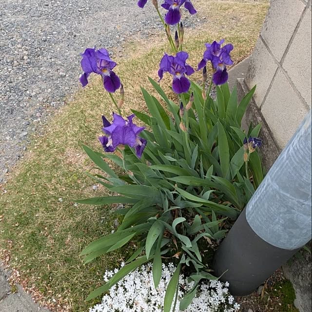 minnieさんの部屋