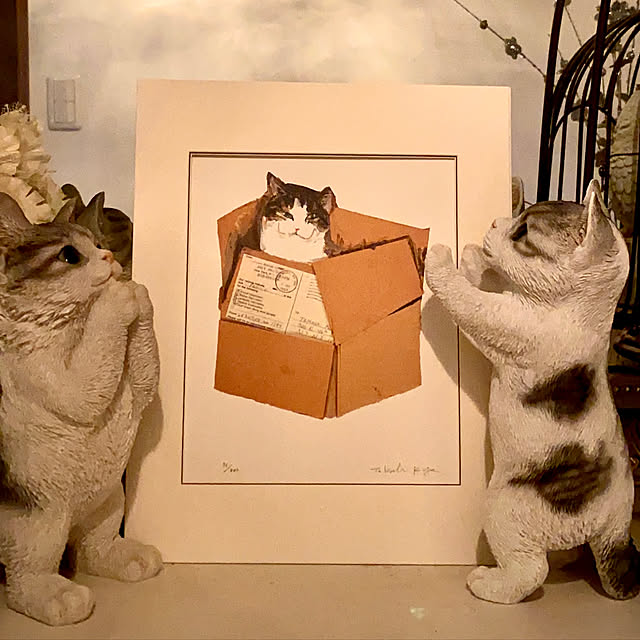 butachanさんの実例写真