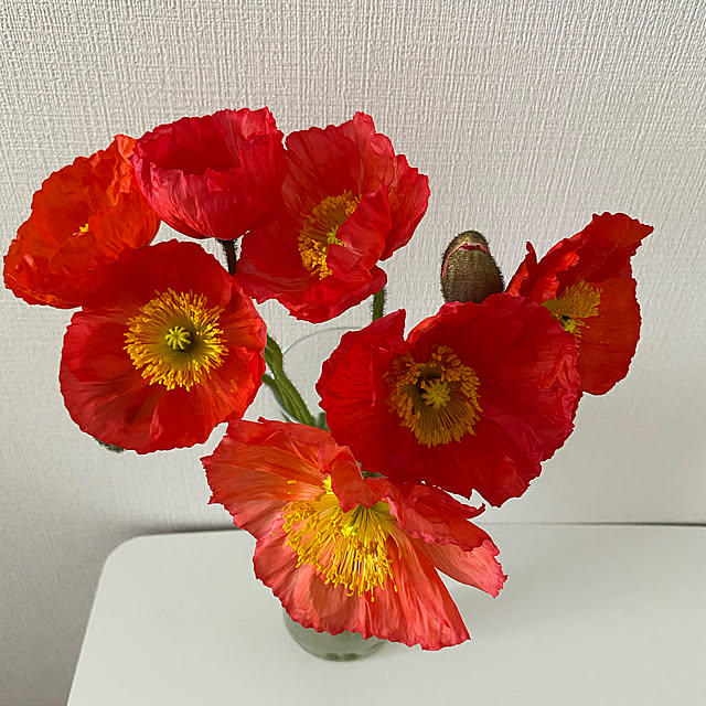 HHHHさんの実例写真
