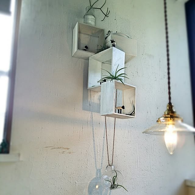 kaorinさんの実例写真