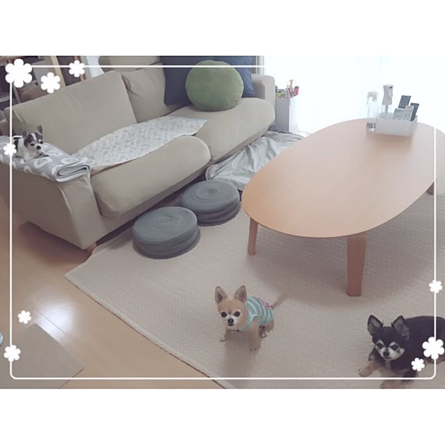 Emiさんの実例写真