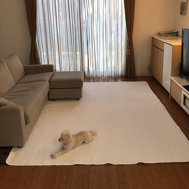 hirosaka0314さんの実例写真