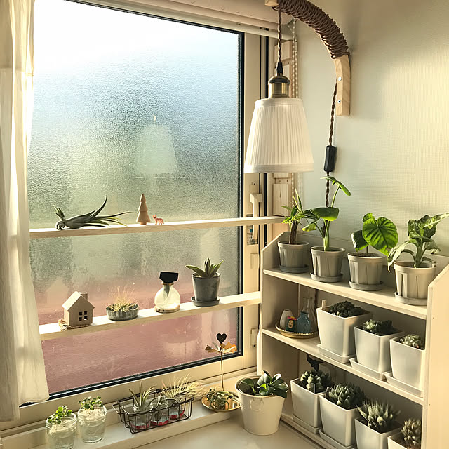 キッチン/観葉植物のインテリア実例 - 2024-08-19 11:54:07
