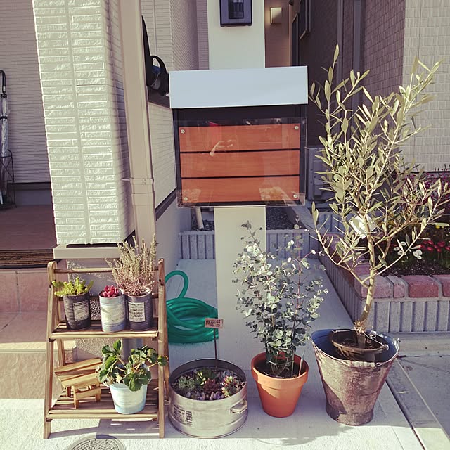 Makiさんの実例写真