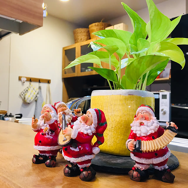 KIRINさんの実例写真
