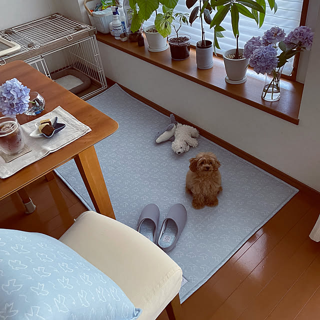 kawauso15さんの実例写真