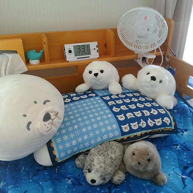 kyukyuさんの実例写真