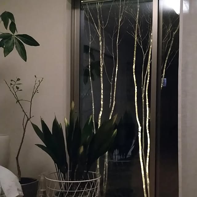 oguoguさんの部屋