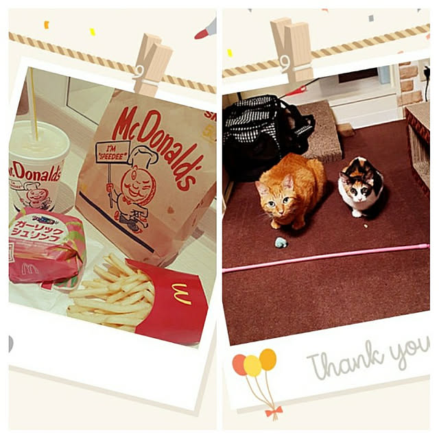 chisaviさんの実例写真
