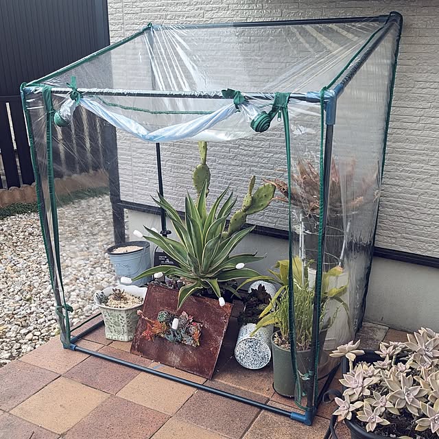 nippopoさんの実例写真