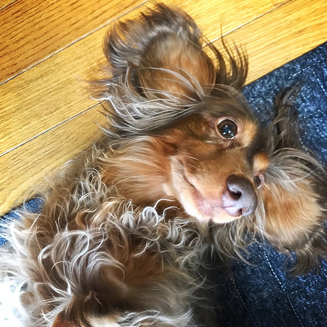 kettyさんの実例写真