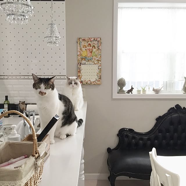 yuchiさんの実例写真