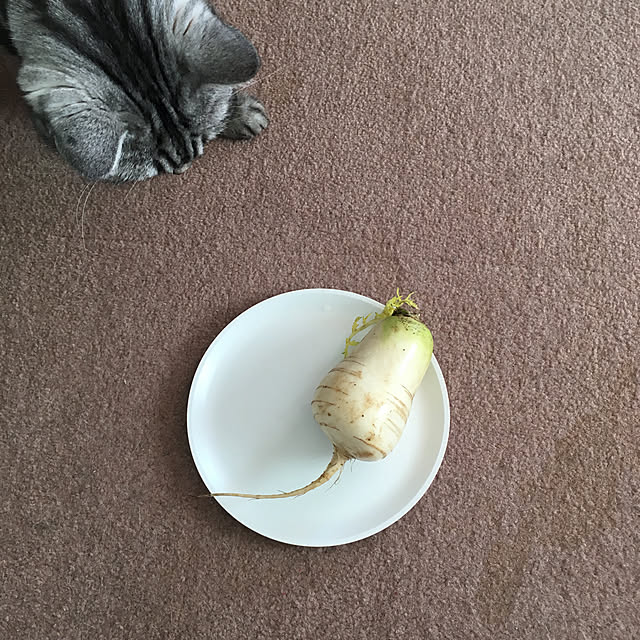 mikomaruさんの実例写真