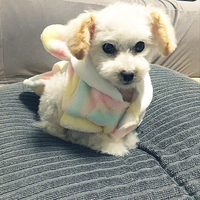 flowerさんの実例写真