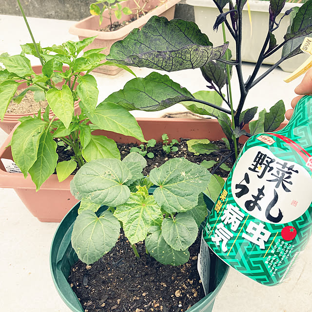 cocorin_homeさんの実例写真