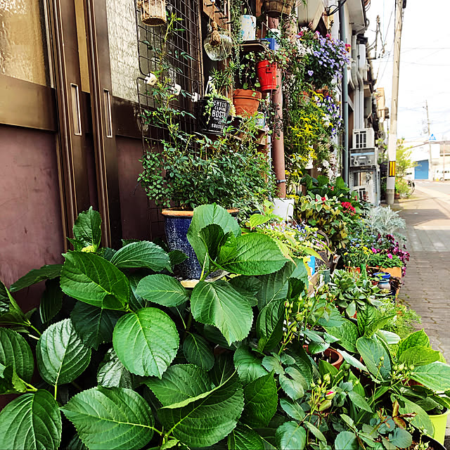 beautifulflowerさんの実例写真