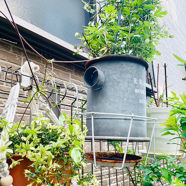 mo-nosukeさんの部屋
