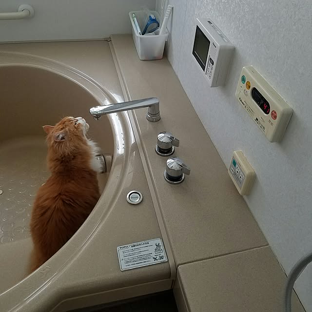 バス/トイレのインテリア実例 - 2017-03-01 17:43:49