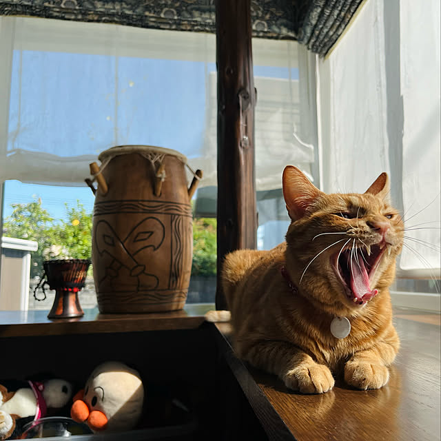 Maruさんの実例写真