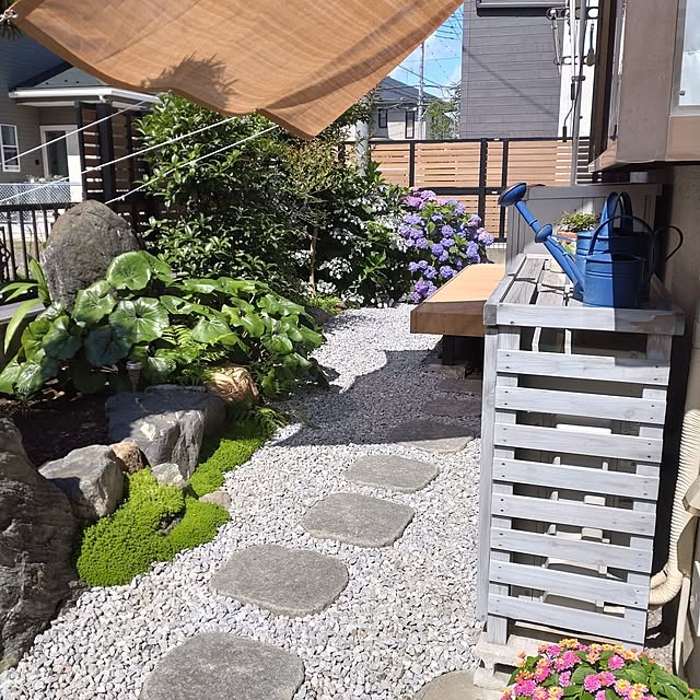 kotoraさんの部屋