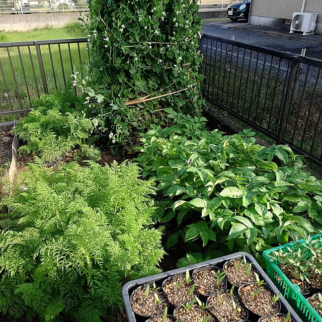 KOMARIN358さんの部屋