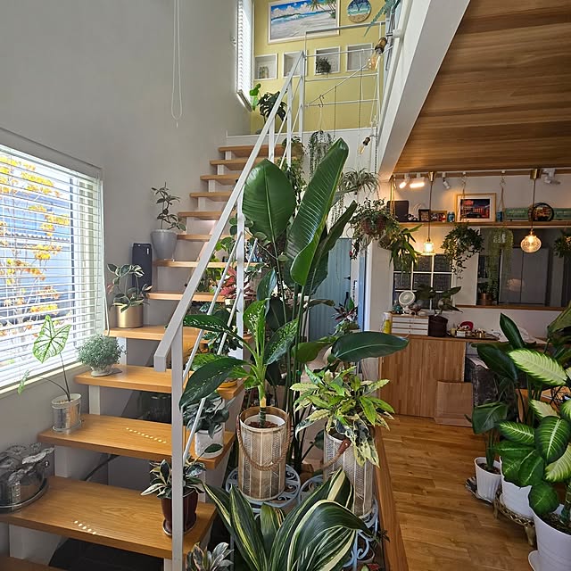 nonbiri_house_さんの部屋