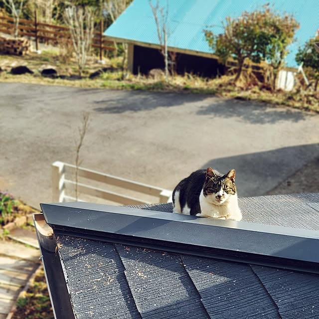 yukiさんの実例写真