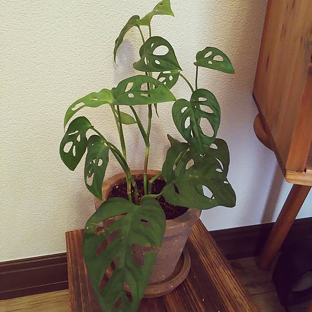 akoさんの実例写真